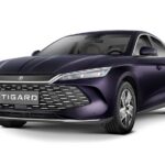 byd چین ال 2025