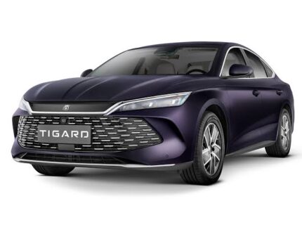 byd چین ال 2025