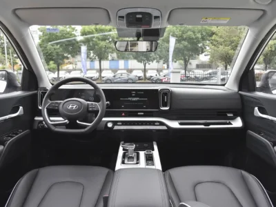 Hyundai Mufasa Interior Trim Protection Film