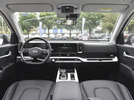 Hyundai Mufasa Interior Trim Protection Film