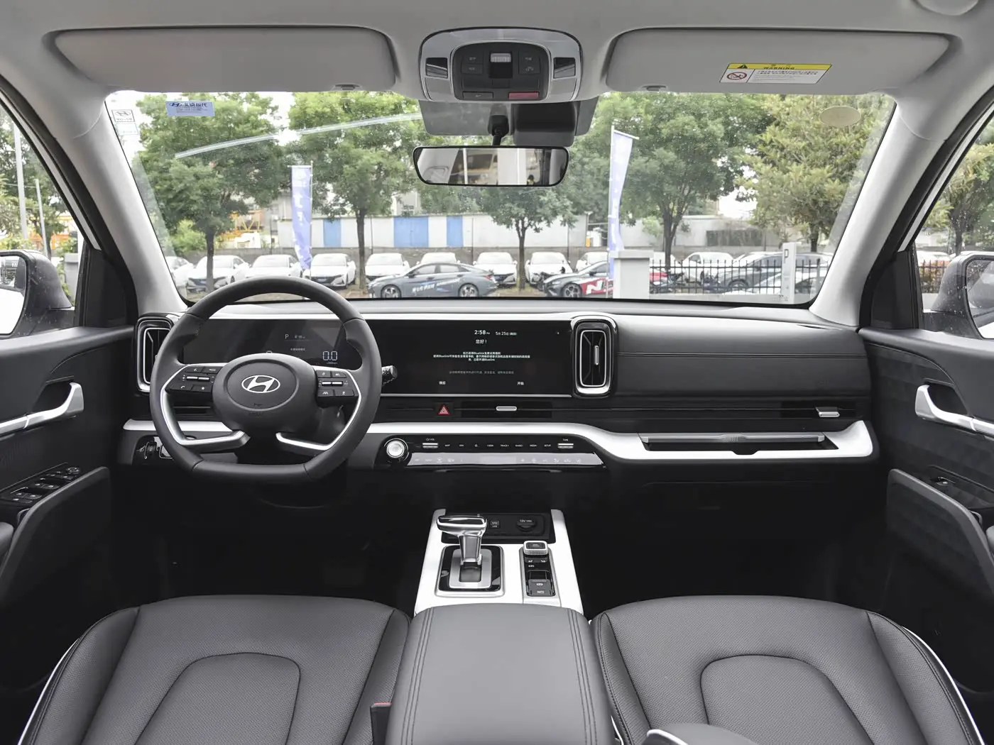 Hyundai Mufasa Interior Trim Protection Film